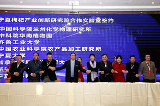 寧夏中寧枸杞產(chǎn)業(yè)創(chuàng)新研究院項目發(fā)布簽約暨學(xué)術(shù)交流會成功舉辦，工商事務(wù)代理助力產(chǎn)業(yè)發(fā)展